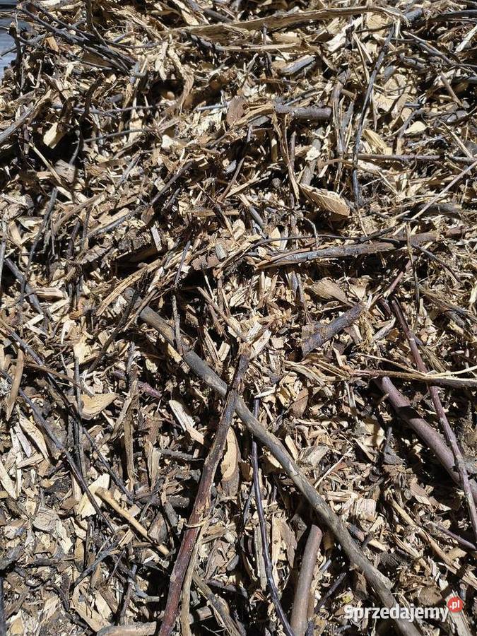 Zrębki do wędzenia Wąbiewo