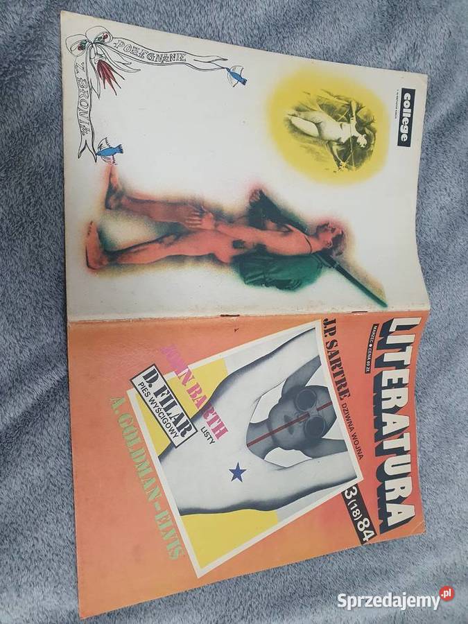 Literatura 384 Elvis Sukces i Zabawy Rok wydania 1984 sprzedam