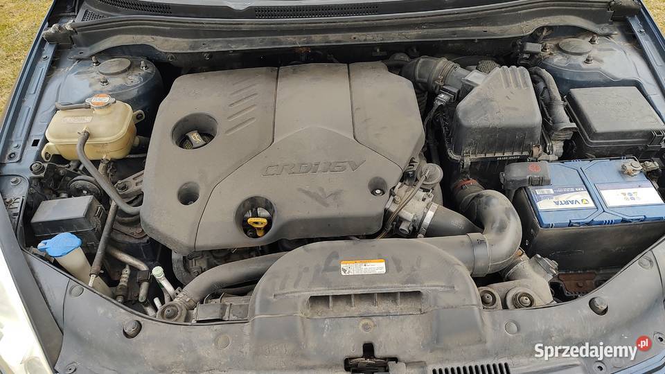 KIA Ceed Minkowice Oławskie