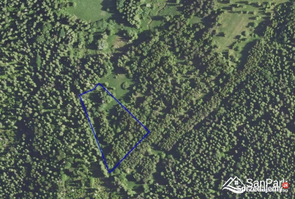 Działka Czarna 11400m2 sprzedam