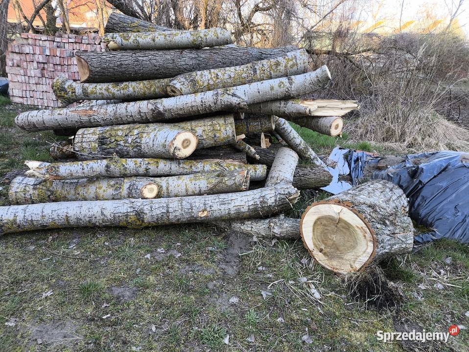 Drewno opałowe topola i olcha wielkopolskie Kościan
