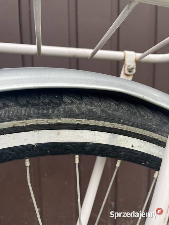 Niebieski rower Alpina Radecznica