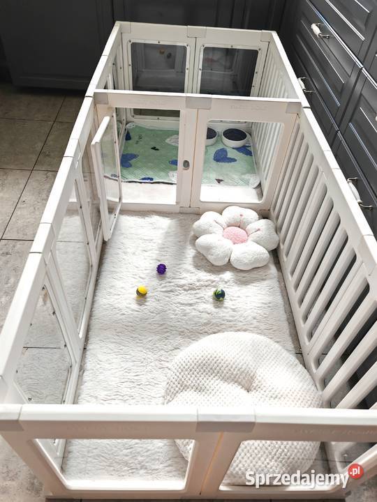 Nowy kojec kota psa szczeniąt kociąt