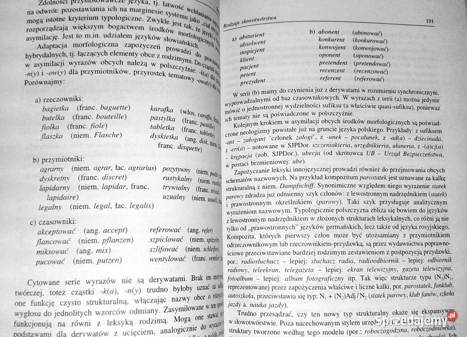 Zarys gramatyki polskiej Alicja Nagórko miękka Pozostałe