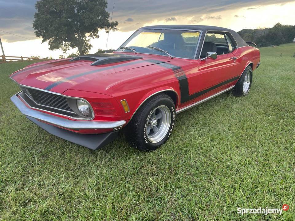 Ford Mustang pomorskie Starogard Gdański