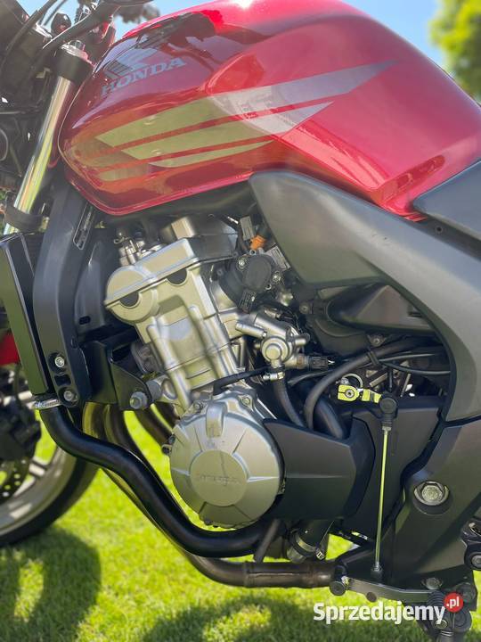 Honda CBF 600 N wtrysk 2008 Trzebiszewo