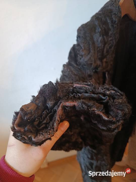 Futro z łapek karakułowych