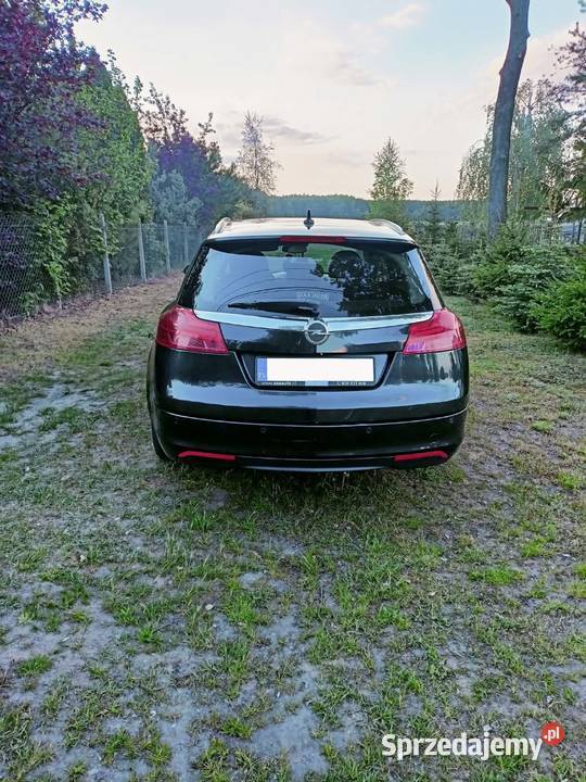 Opel Insignia Budy Trzcińskie