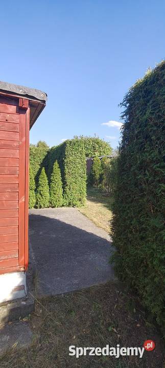 Sprzedam działkę rekreacyjną ROD Słonecznik w Kuźnia Raciborska