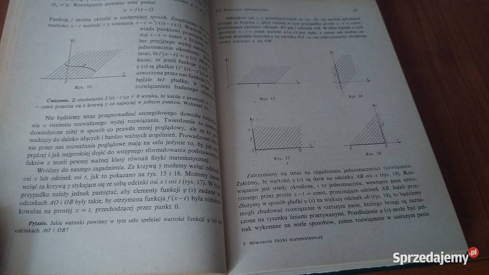 Równania fizyki matematycznej S K Godunow Książki naukowe i popularnonaukowe Gdańsk sprzedam