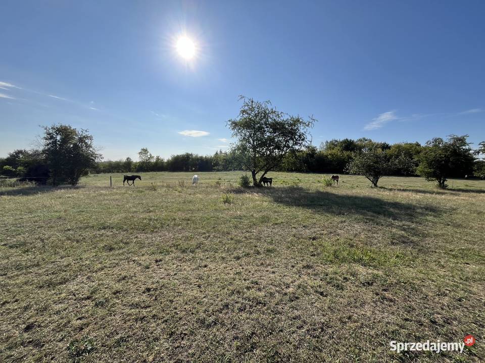 Działka budowlana 1000m 27x37 Strykowska Opolska Sprzedaż Grunty i działki łódzkie Łódź