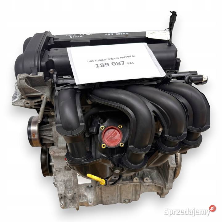 SILNIK SHDA Ford Focus II MK2 C C 16 16V 100 lubelskie Chełm sprzedam