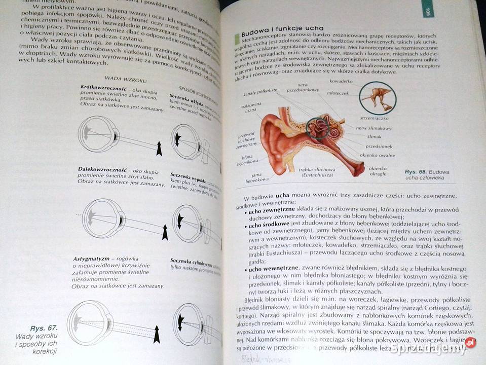 Biologia 2 A Kornaś M Kłyś LŚliwa R Konieczny lubelskie Chełm sprzedam