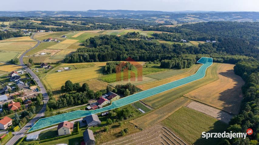 Działka Gnojnica 13000m2 13000m2 Sprzedaż Nieruchomości sprzedam