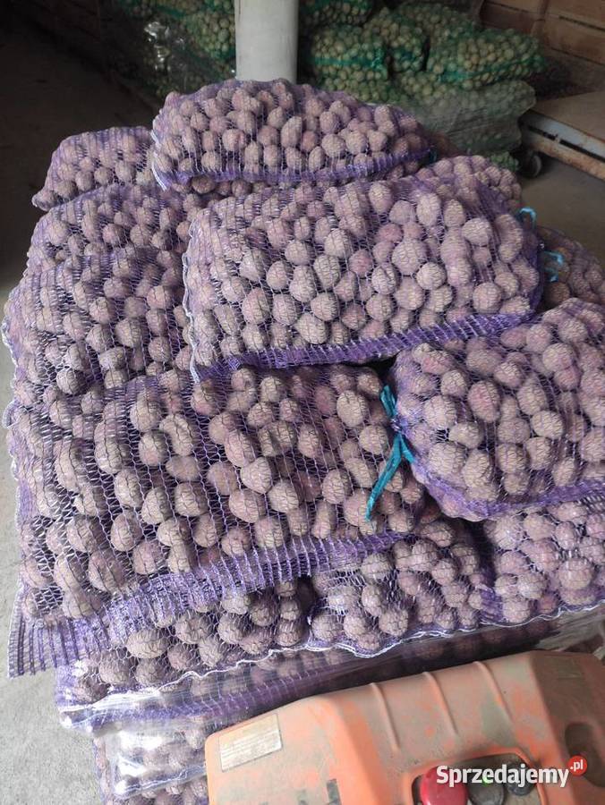 Ziemniaki Ricardo Łomża