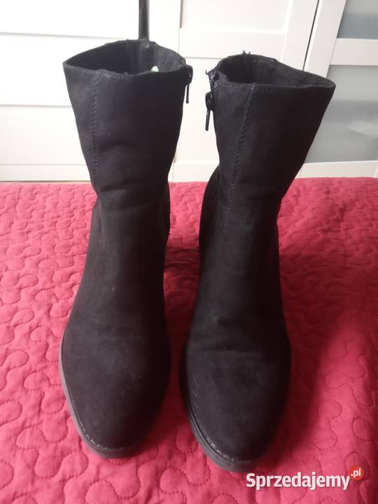 Kozaki kostkę Rocket Dog Warszawa