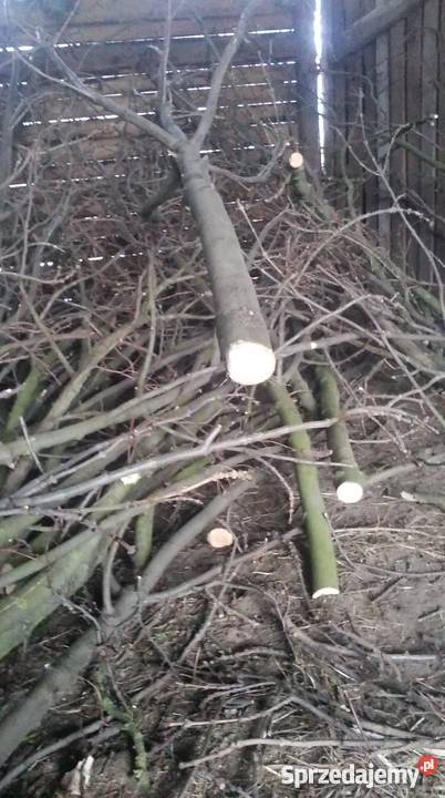 Rębak do gałęzi 2 walowy 8 nożowy Nowy Korczyn