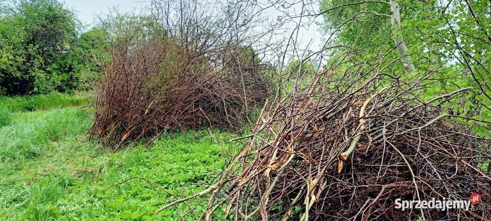 PRACE PORZĄDKOWE OCZYSZCZANIE POSESJI Kawęczyn