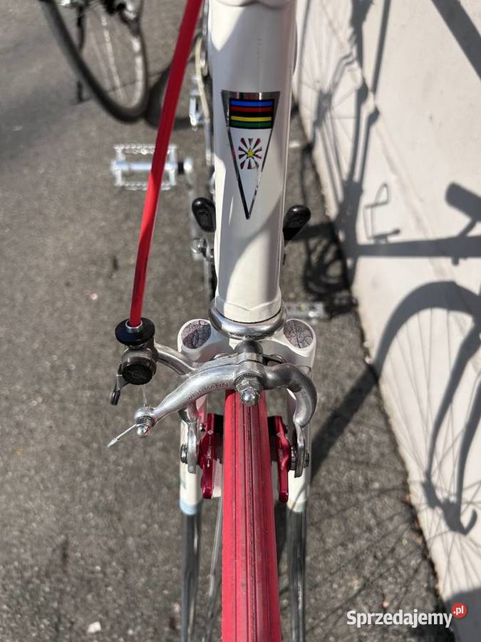 Klasyczny Colnago Vintage wyjątkowy styl i pomorskie Starogard Gdański sprzedam