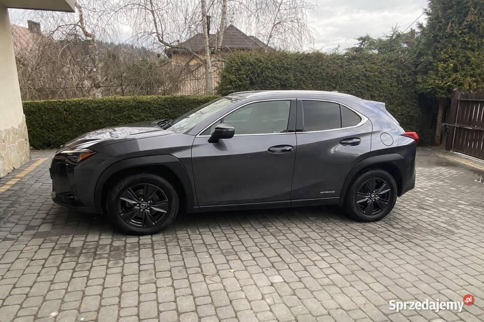 Lexus ux 250 h Rabka-Zdrój