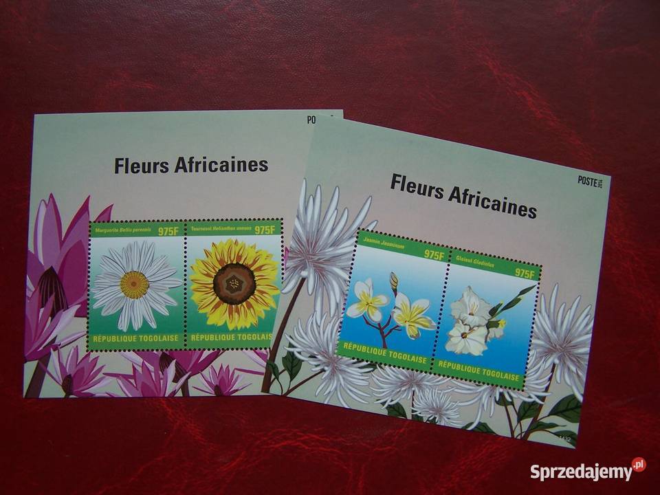 Togo 2014 MNH Flora Kwiaty Afryki Tychy