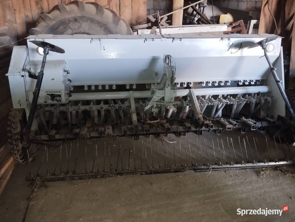 Siewnik poznaniak Rokietnica