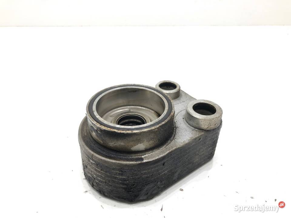 CHŁODNICA OLEJU RENAULT MEGANE IV 213059324R 15 podkarpackie sprzedam