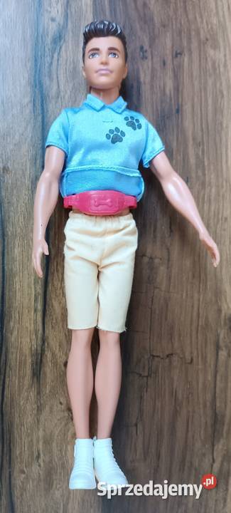 Barbie Zestaw Ken kariera zawodowa Psi trener małopolskie