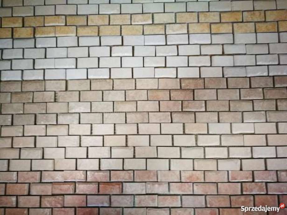 Dekor ścienny murek cegiełka 5x20 różne kolory Zielona Góra