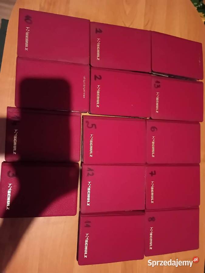 Albumy klasery z monetami 14 Kazimierza Wielka