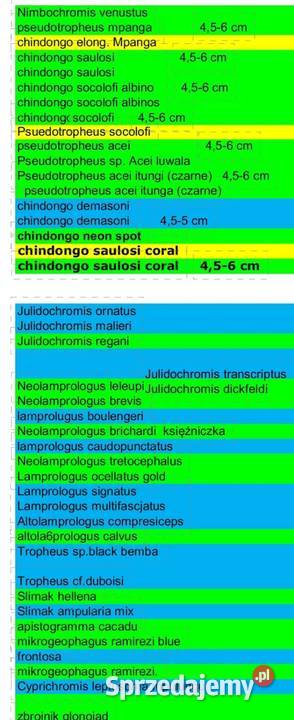 Aulonacararyby rośliny akwariowe