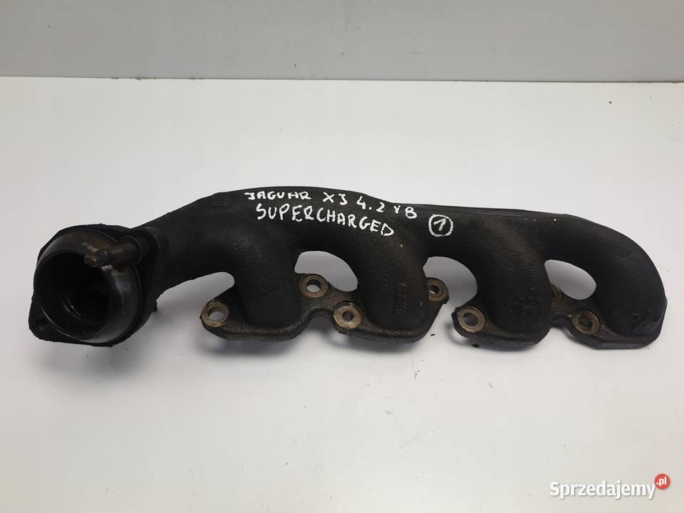 KOLEKTOR WYDECHOWY Jaguar XJ X350 42 V8 osobowe Rudka sprzedam