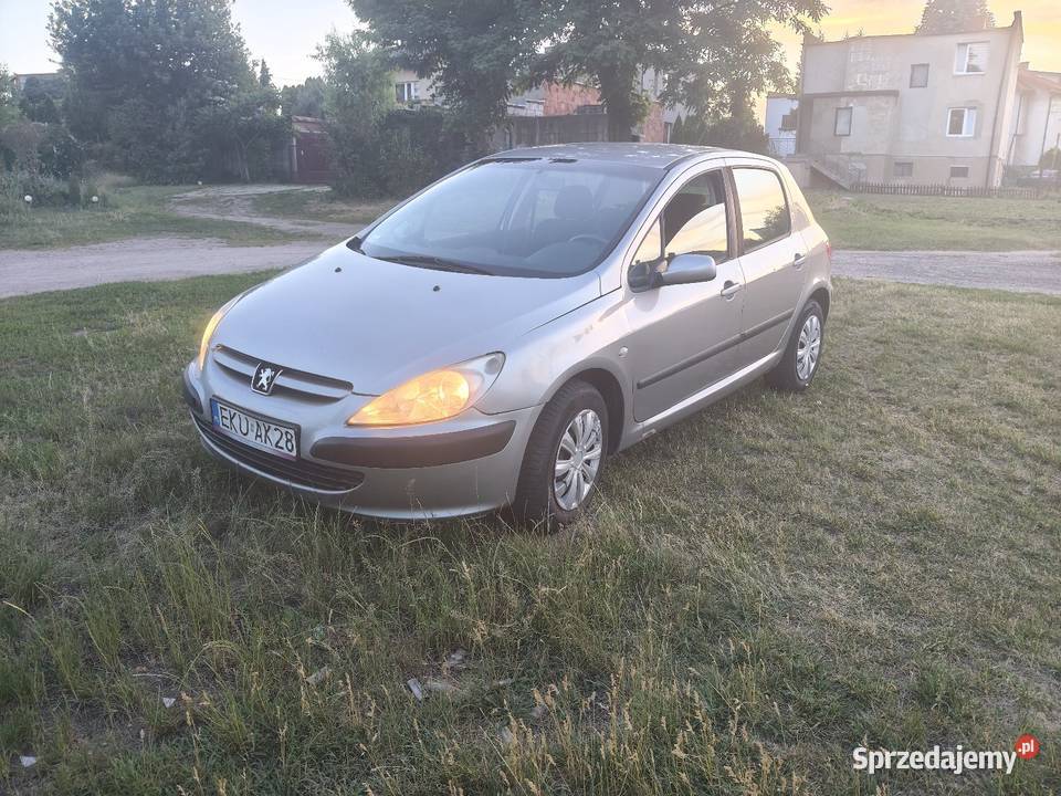 Peugeot 307 16 16 klima manualna Kutno sprzedam