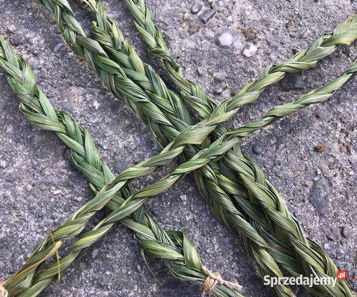 Turówka wonna żubrówka kadzidło warkocz Indianie Kraków