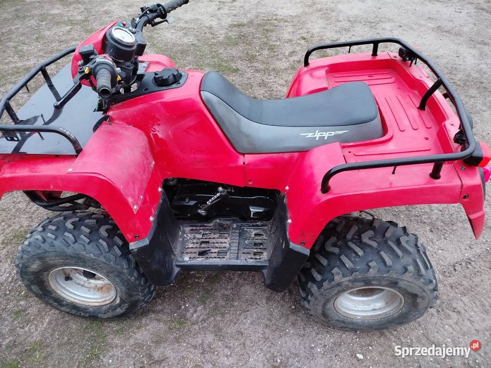 Quad Zipp 100cc duży i masywny 100cm3 sprzedam