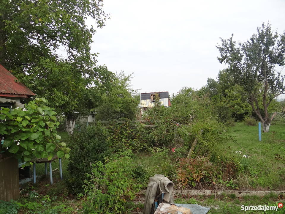 Ogródek działkowy 600m2 Kasprzaka OKAZJA sprzedam