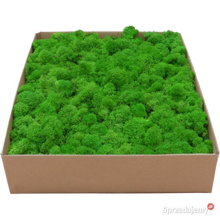 Mech Chrobotek PREMIUM Apple Green Karton 1 Wykończenie Czarków