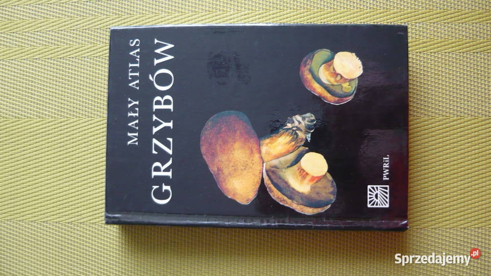 Książki II Myszków