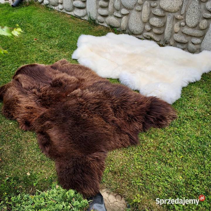 Skóra Niedźwiedź XXXL Dywan Skóra Owcza Szaflary