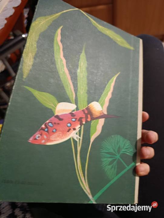 Ryby w akwarium autorstwa H Jakubowskiego i J Poznań