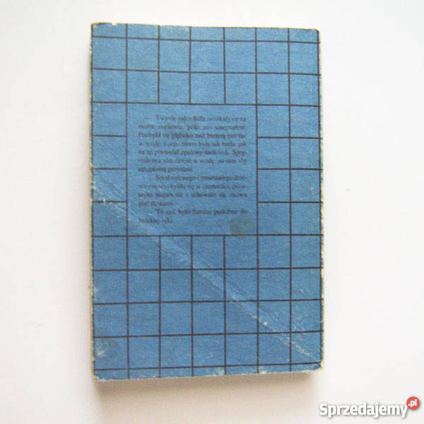 kryminał Tajemnica Jeziora Raymond Chandler