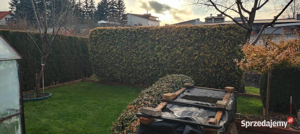 Nieruchomości działki rekreacyjne Skarżysko-Kamienna