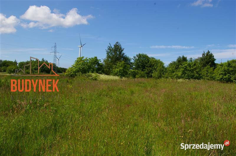 Działka siedliskowa Jeżyce 61000m2