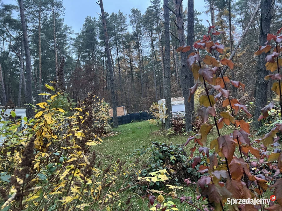 Działka leśna ZL ogrodzona jeziorem Borkowo