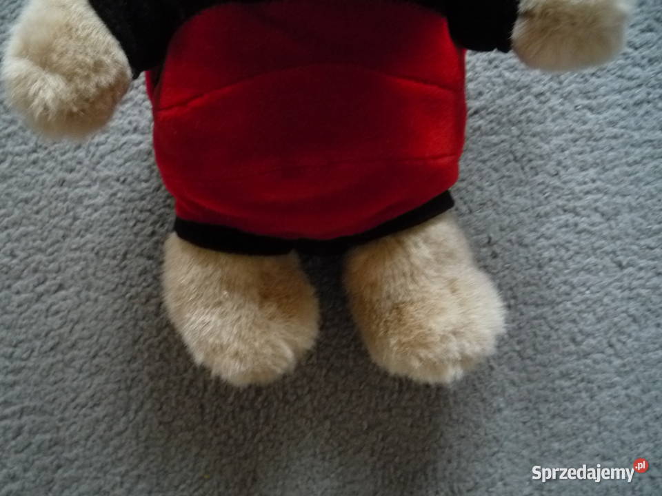 Nowa Maskotka pluszak Biedronka Starbucks Coffe Tkanina  Szczecin