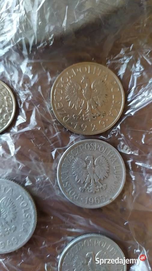 Stare monety lubelskie Gołowierzchy