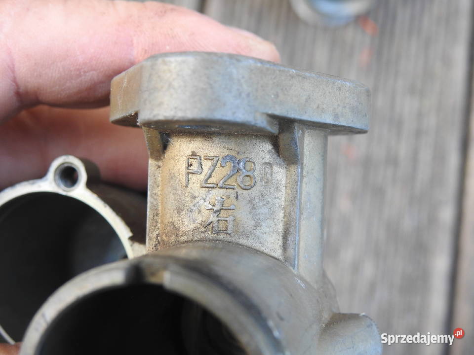 PZ28 K37 Graetzin Sa24 Amal Fischer Bing Bings