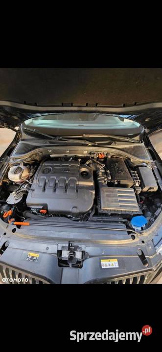 2013 koda octavia Hatchback Konin