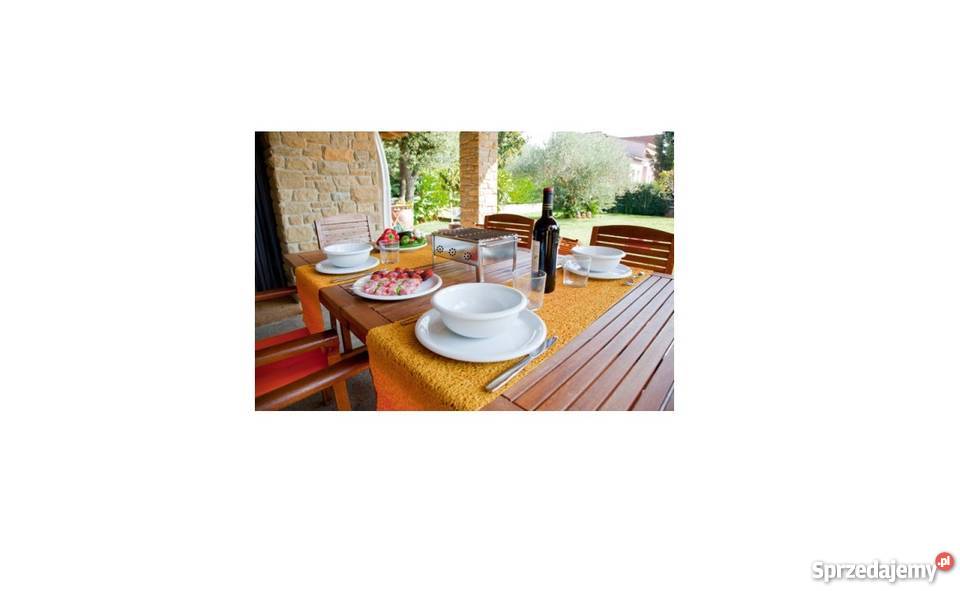 Sauvic grill stołowy 20x25 stal nierdzewna Rybnik