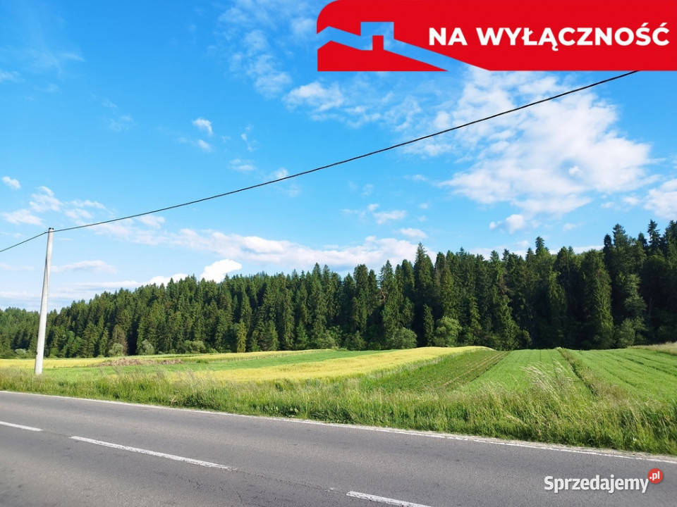 Działka strumyku małopolskie Łapsze Niżne